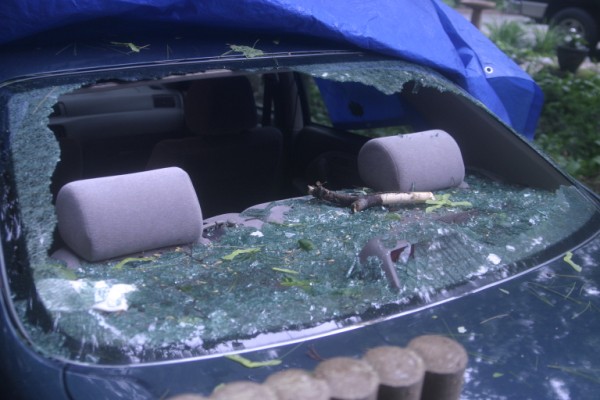Large Limb through the back window of one of W1DFL's vehicles